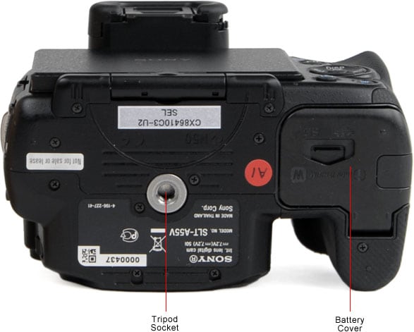 Sony SLT-A55 Digital Camera Review - Reviewed