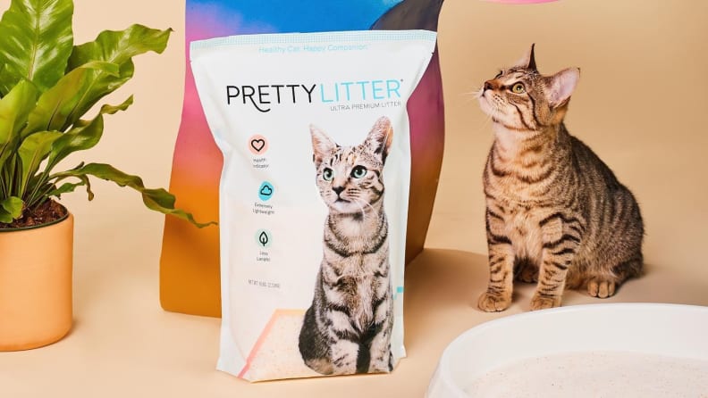 PrettyLitter may be a worthwhile buy for some pet parents.