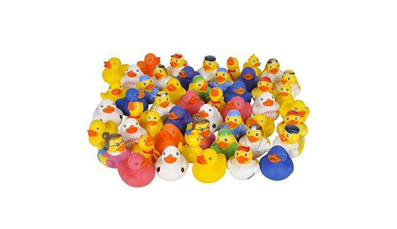 Ducks