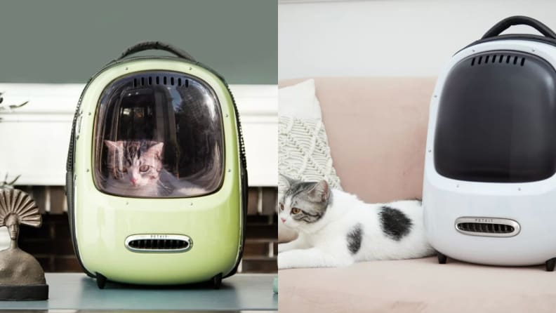 A cat in a green kitty backpack and a white cat sitting beside another one.