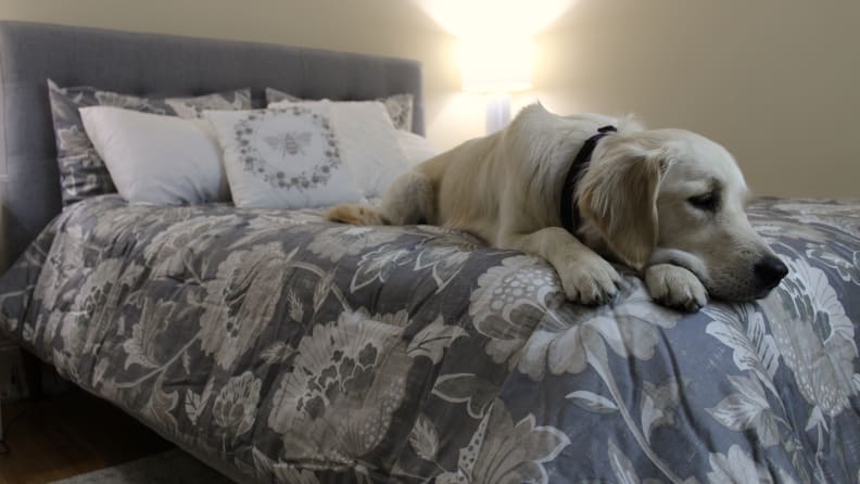 Overall, we weren't thoroughly impressed with this comforter.