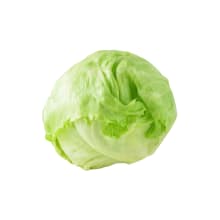 Product image of Iceberg lettuce head