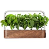 Product image of Edn SmallGarden
