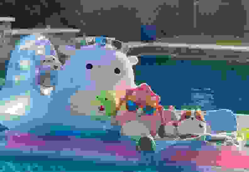 Squishmallows on a pool float in a pool
