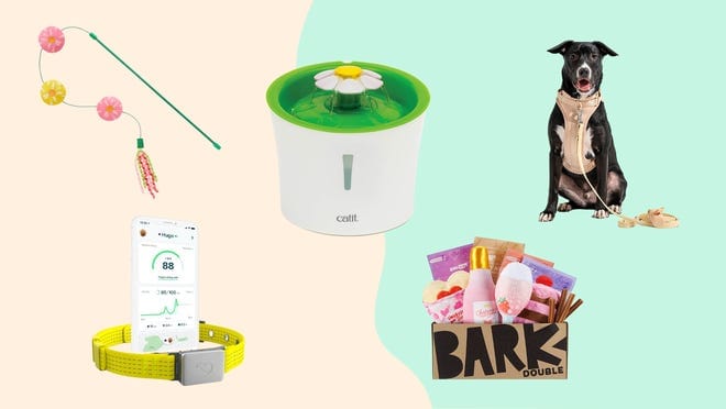 pet supplies- cat toy on pole, cat water fountain, dog leash and bark box with contents inside
