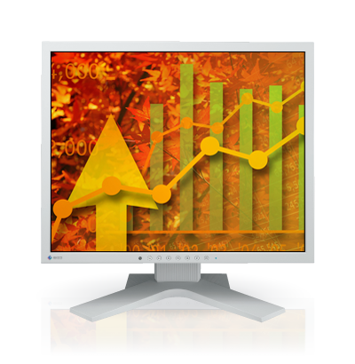 Product Image - Eizo FlexScan S1921-X