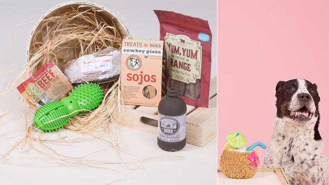 Products every dog mom needs