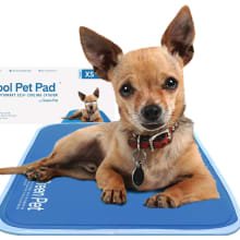 Product image of  The Green Pet Shop Cooling Mat