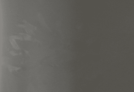 Fingerprints Photo