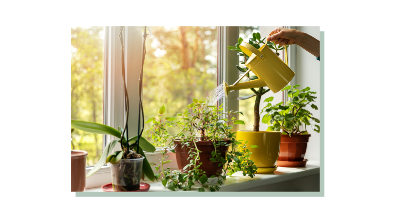Person using yellow watering can to hydrate indoor potted plants on window sill.