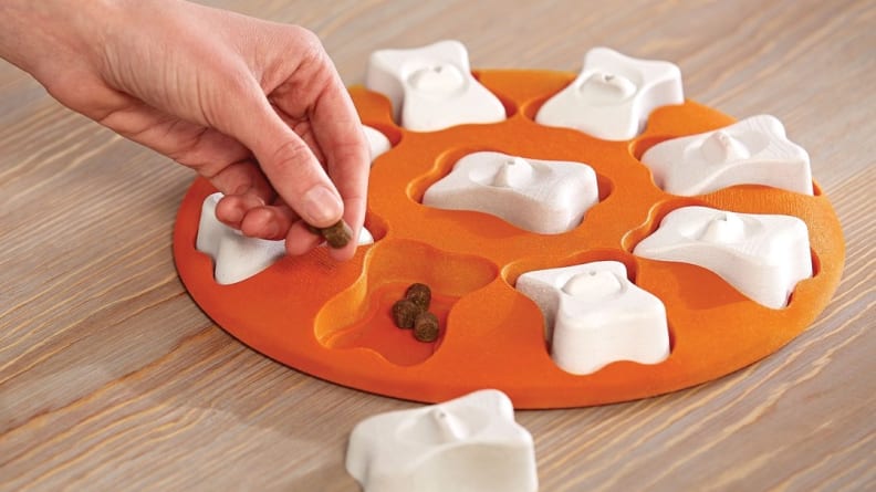 Dog puzzle toy