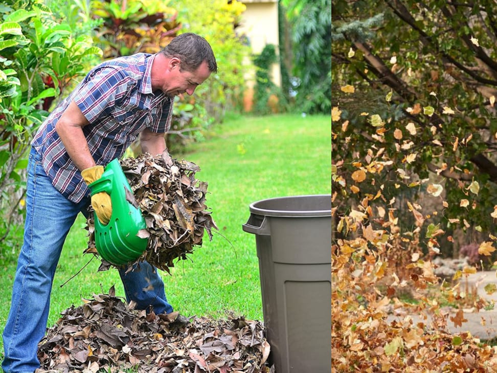 Yardworks power rake discount
