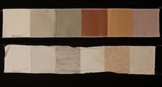 stain strip.jpg