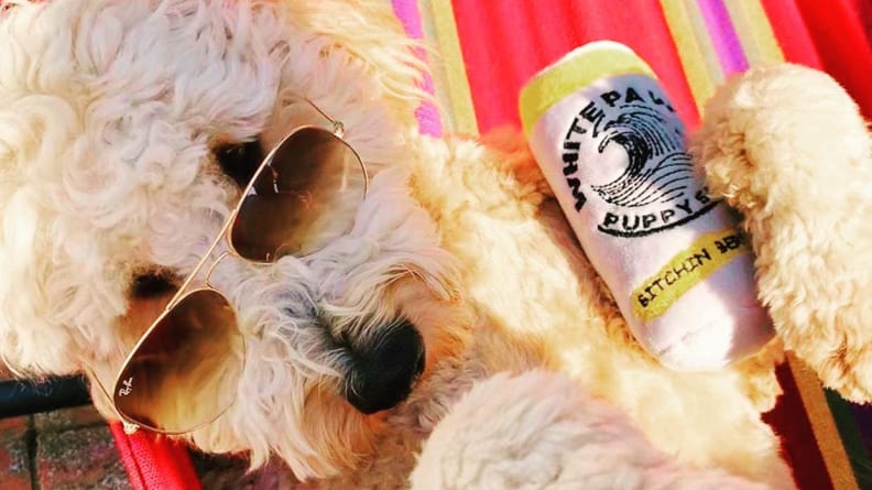 An image of a dog wearing sunglasses next to a plush White Paw toy.