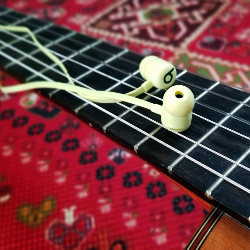 Beats flex hotsell wireless headphones review