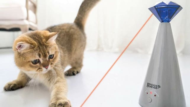 Laser pointer
