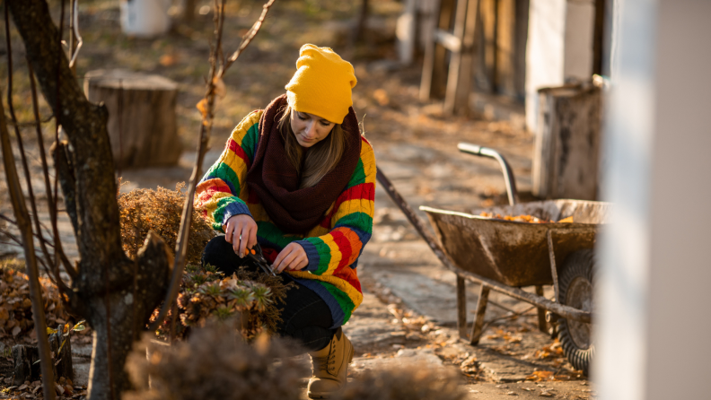 Person kneeling down outdoors to tend to plants.