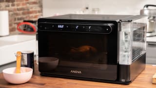Anove精密烤箱可以真空，烤，空气油炸，和更多。