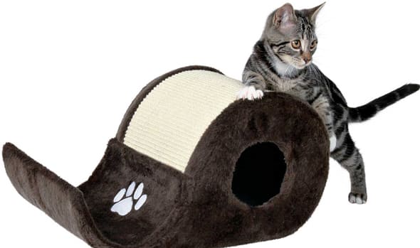 cat-scratcher.jpg