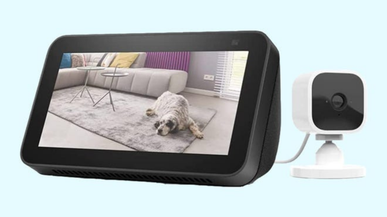 Amazon Blink Mini with dog laying down on living room floor on the screen in front of blue background.