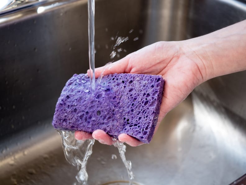 sponge in sink