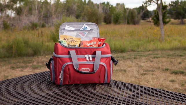 eBags Travel Cooler