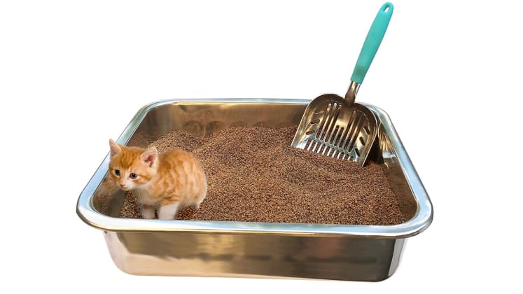 20 Popular Cat Products On Amazon Reviewed Home Garden