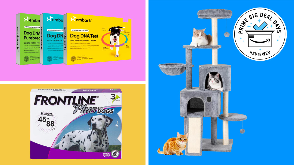 Best Pet Prime Day Deals On  For The October 2022 Early