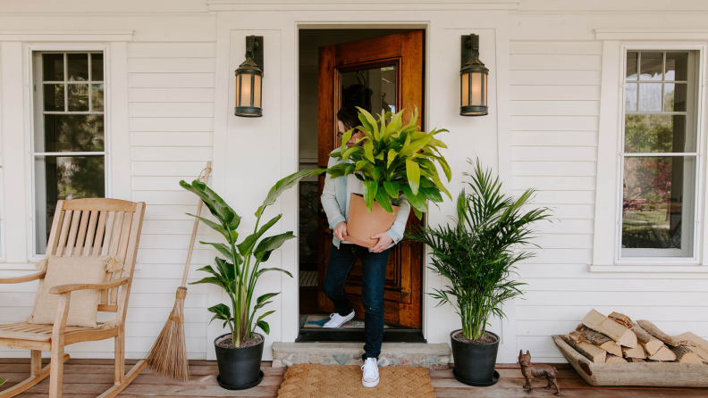 patio plants