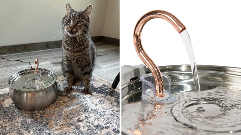 KittySpout cat water fountain