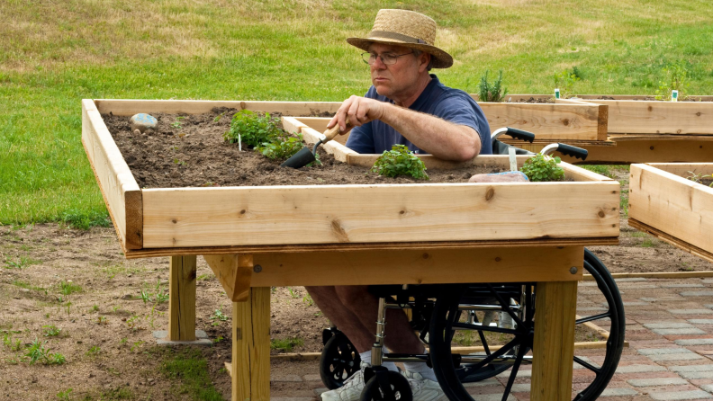 Man in a wheelchair gardens in a raised garden bed