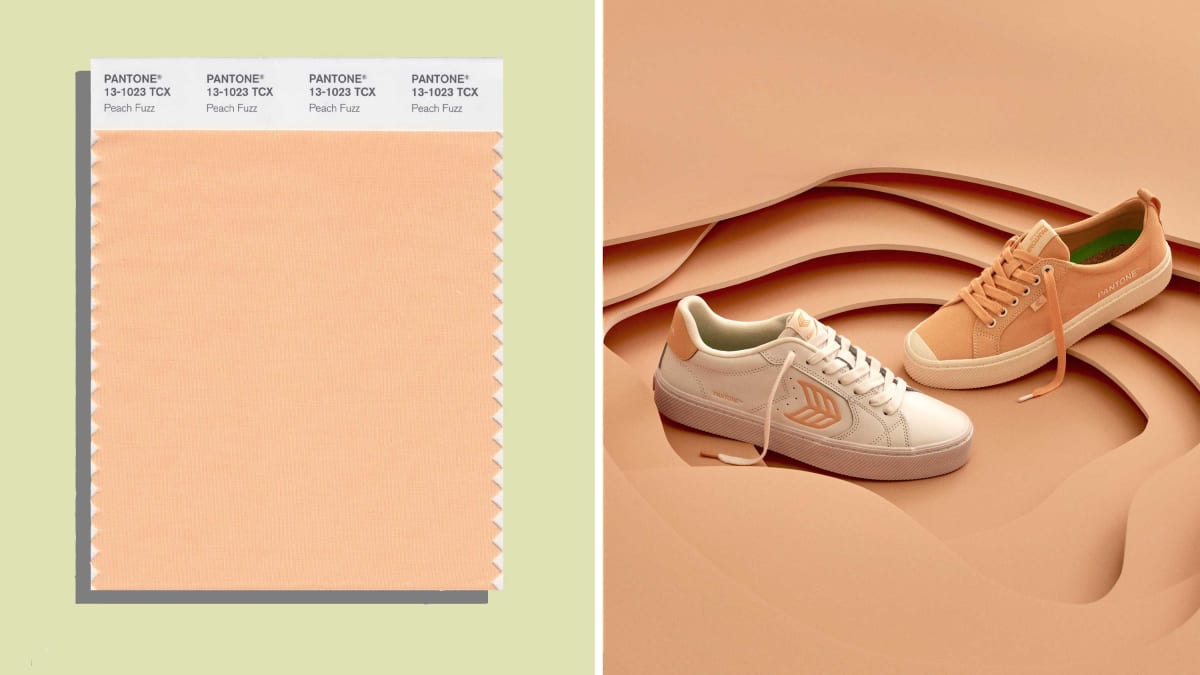 How to Design With Peach Fuzz, Pantone's 2024 Color of the Year - Mansion  Global