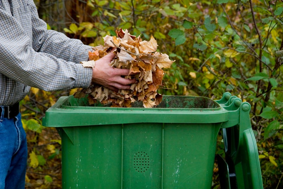 Man cleaning up leaves in fall