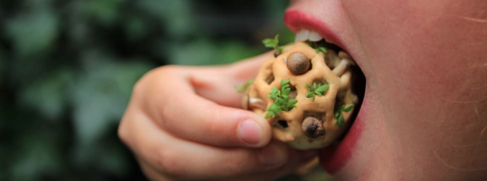 Edible Growth: Healthy Snacking From Your 3D Printer