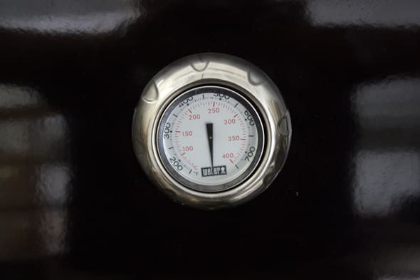 Thermometer Photo 1