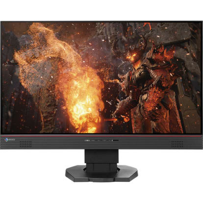 Product Image - Eizo Foris FS2434