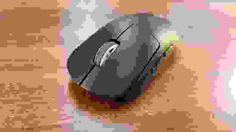 A front shot of the mouse.