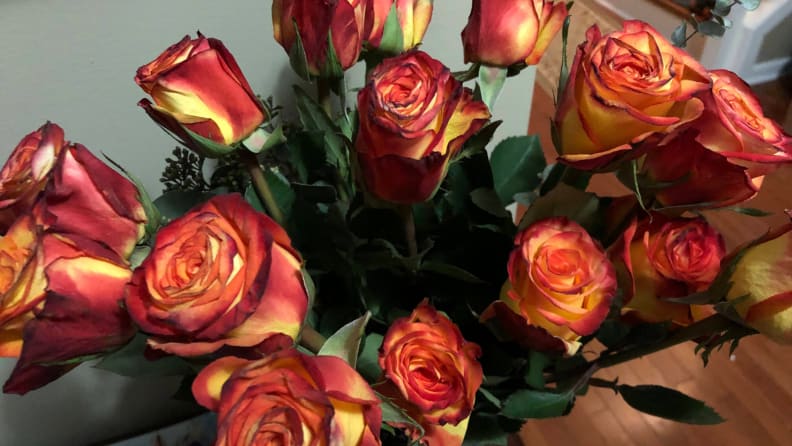 Picture of roses