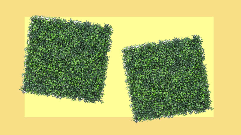 Green faux shrubbery squares.