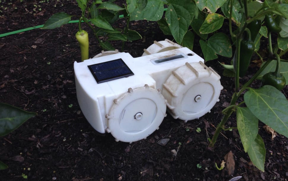 The Tertill from Franklin Robotics is a solar-powered, self-directed robot that will trim your garden's weeds.