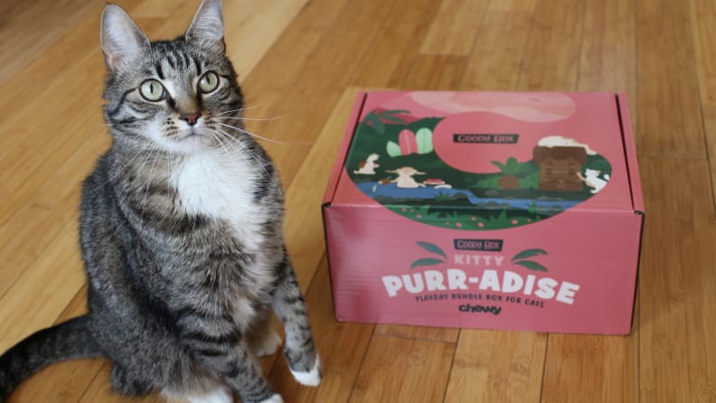 An image of a cat sitting alongside a Chewy box.