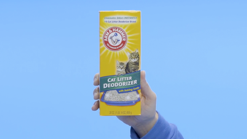 Hand holding litter deodorizer