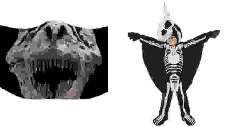 A fossil mask and a kid dressed in a ppterodactyl skeleton costume.