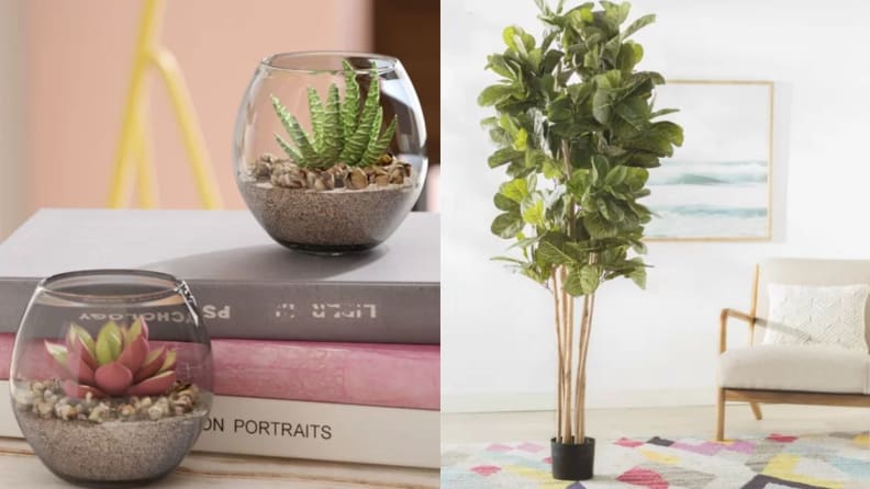 Side-by-side images of succulents and a fake tree