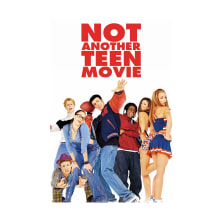 Product image of Not Another Teen Movie