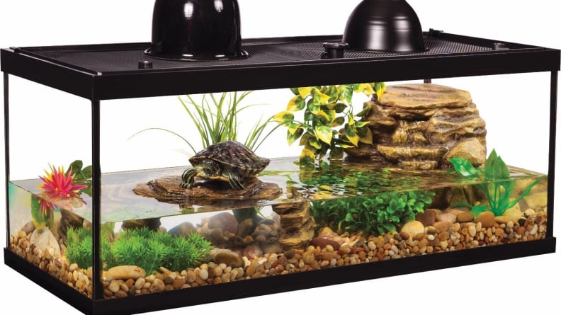 Turtle cage