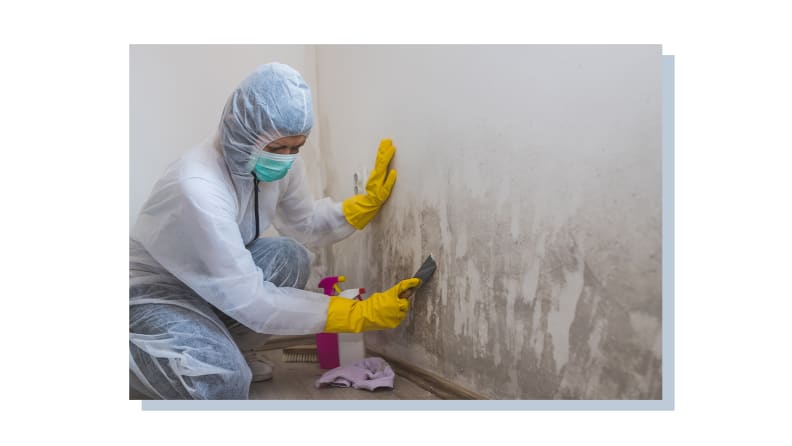 A professional in full protective suit scraping mold from walls.