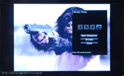 Local Media Playback 2 Photo