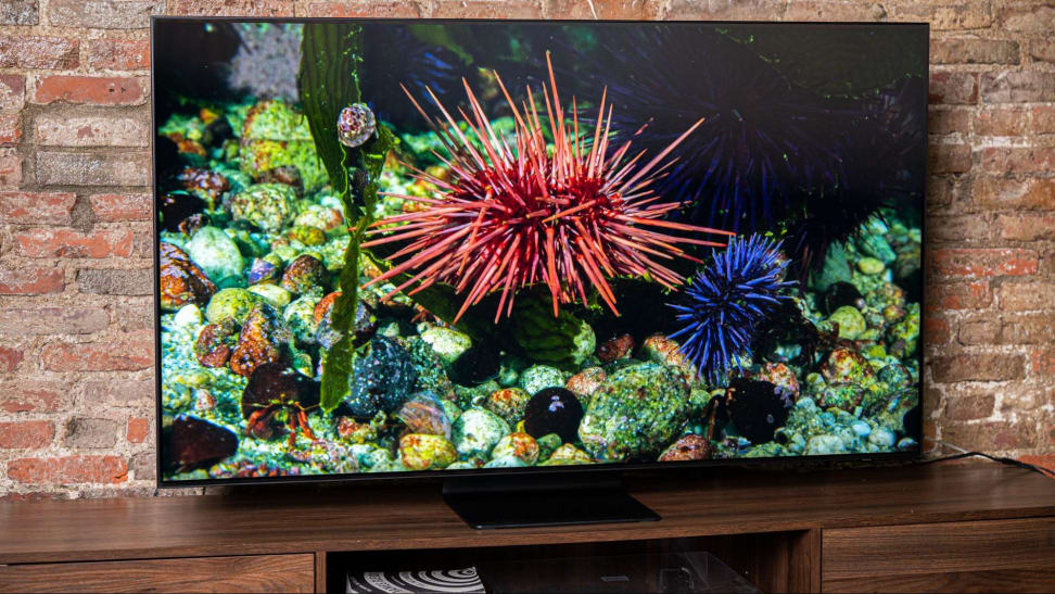 The Samsung QN90B showing some underwater corals on the screen.