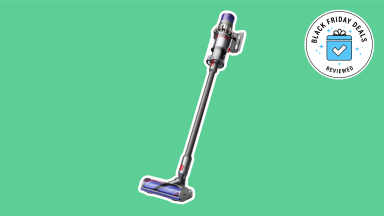 Dyson vacuum on a green background.
